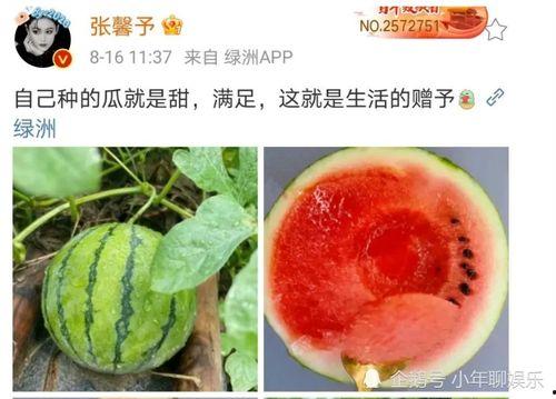 最近娱乐圈有什么瓜吃,明星秘闻大揭秘!